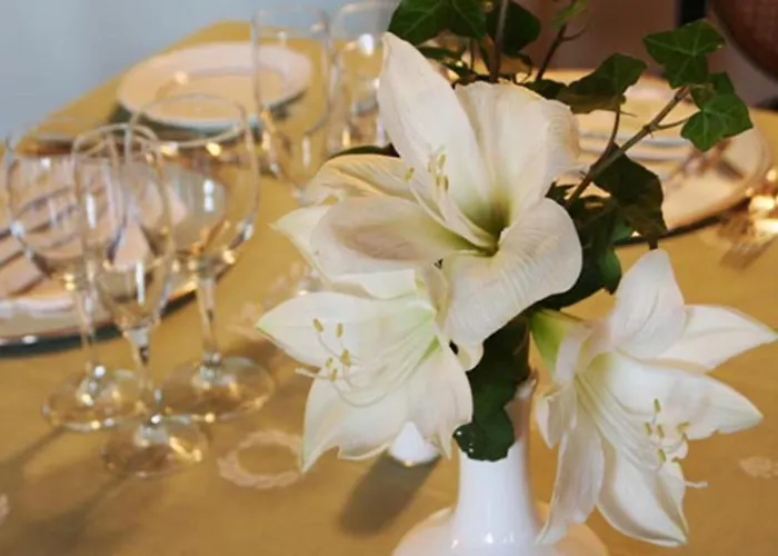 Aurora 2* Scauri (Lazio)